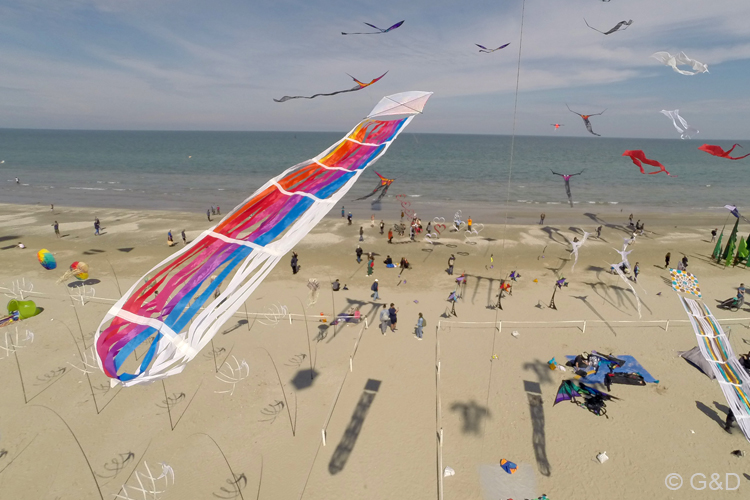 Cervia154