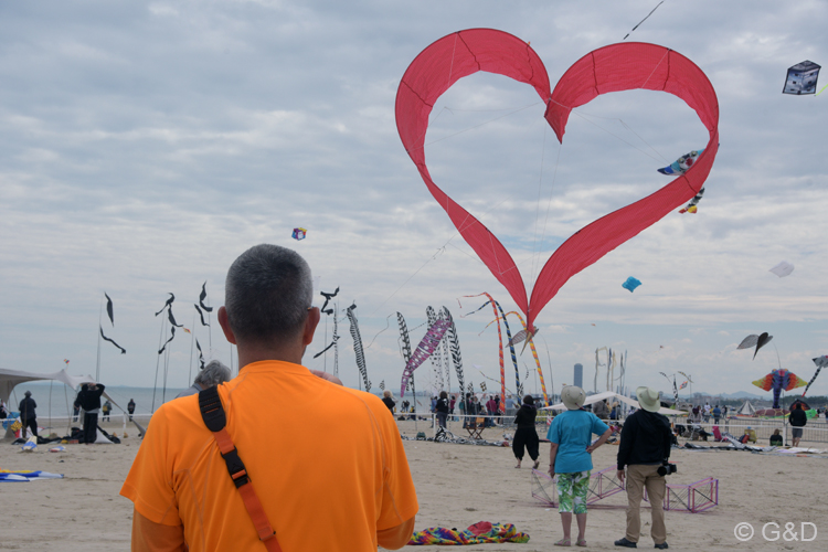 Cervia163