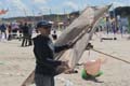 Cervia054