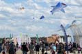 Cervia059