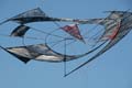 Cervia066