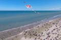 Cervia074