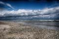 Cervia116