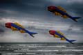 Cervia124