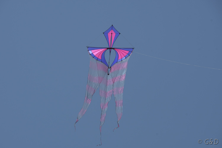 pakozd007