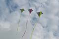 wurmannsquick058_58