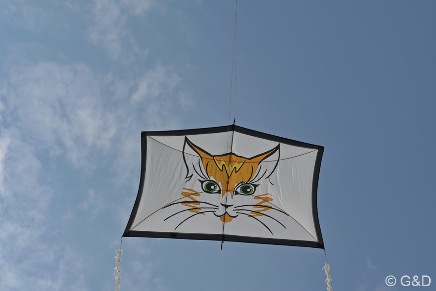 kittenberg04