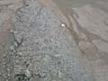berckgd072