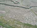 berckgd081