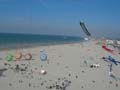 berckgd094