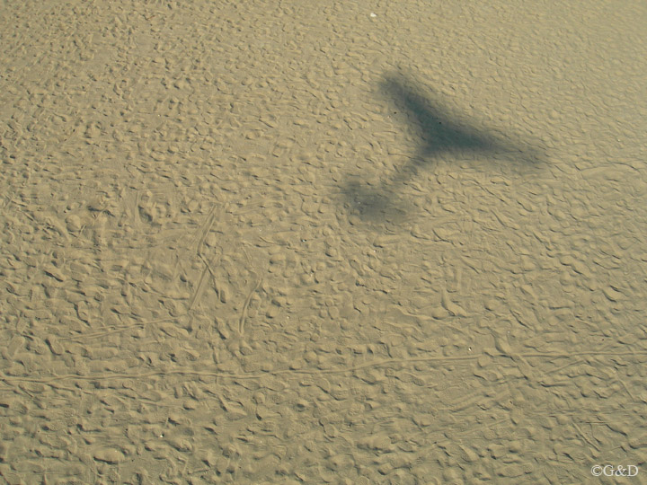 cerviakap094