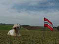 gerst_kap53