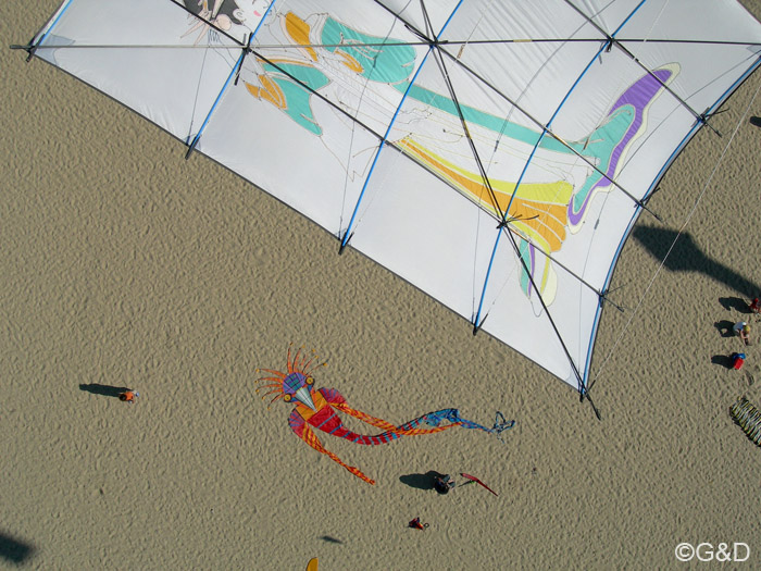 kap2007_154