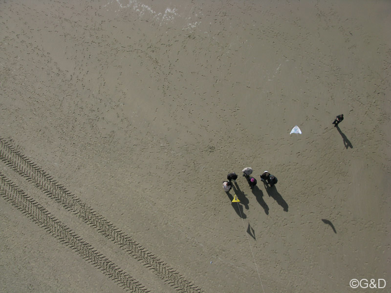 berck035