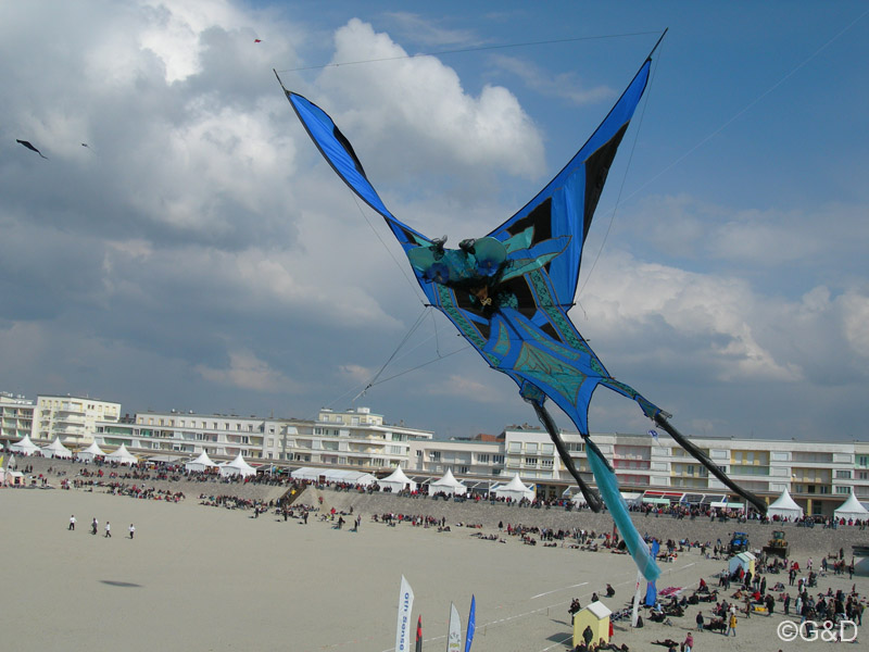 berck053