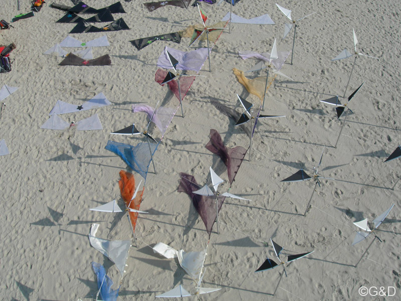 berck054