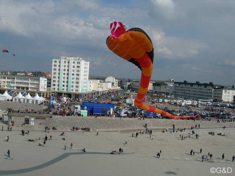 berck056