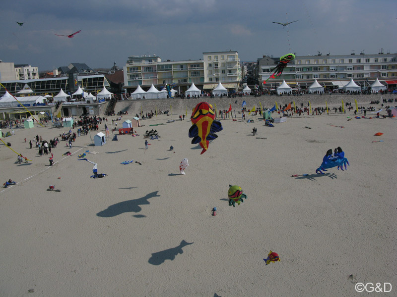 berck066