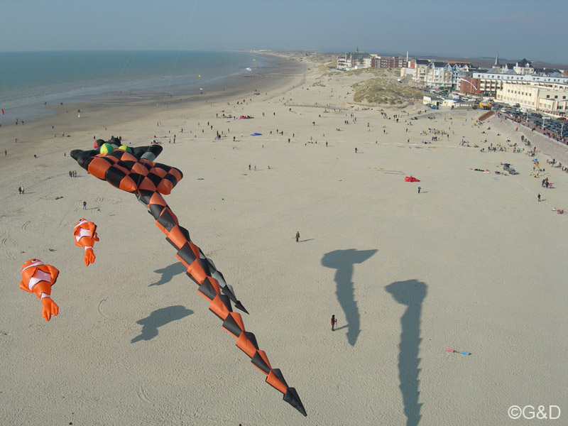 berck085