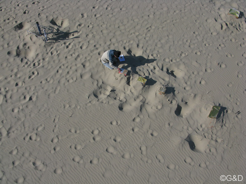 berck109