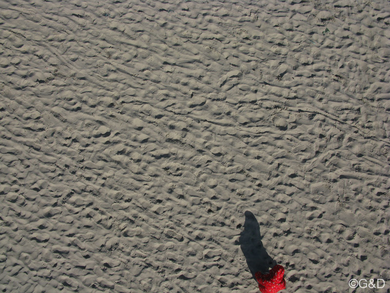 berck119