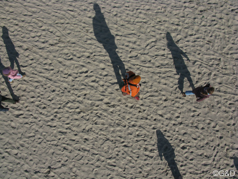 berck120