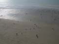 berck062