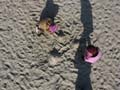 berck118
