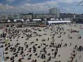 berck131