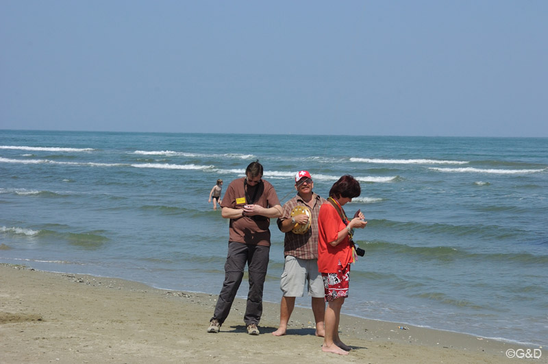 cervia_kap007