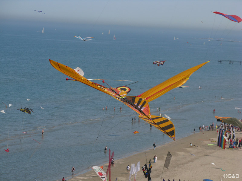 cervia_kap125