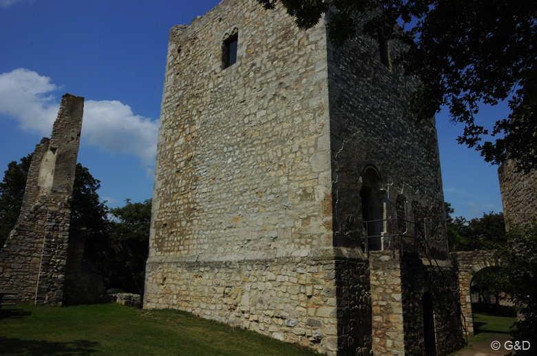 hainburg59