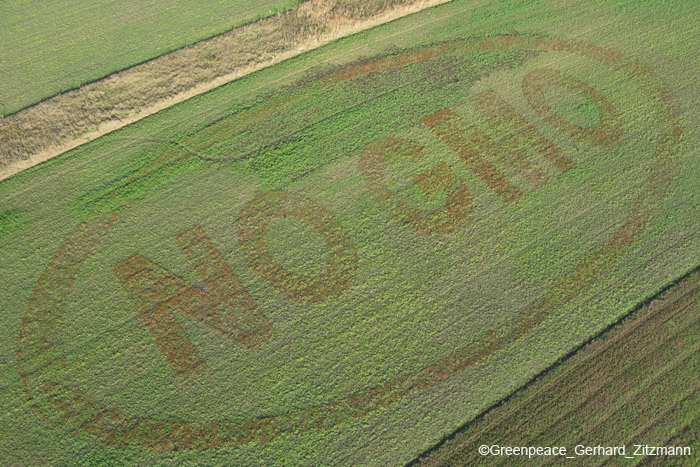 greenpeace12