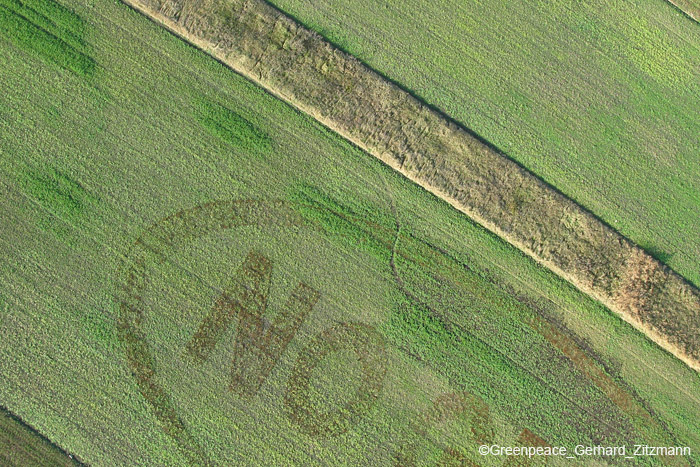 greenpeace17