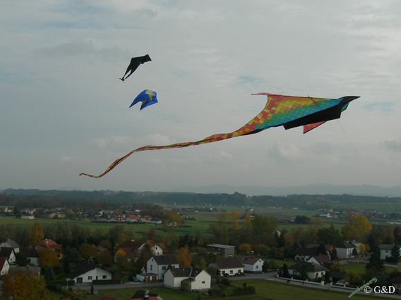greinsfurthluft05
