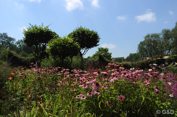 gartenausstellung_tulln15