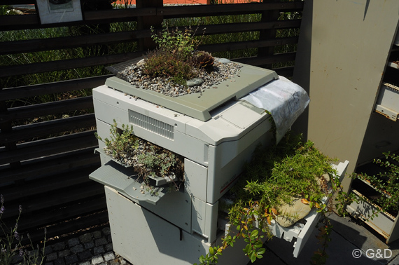 gartenausstellung_tulln29