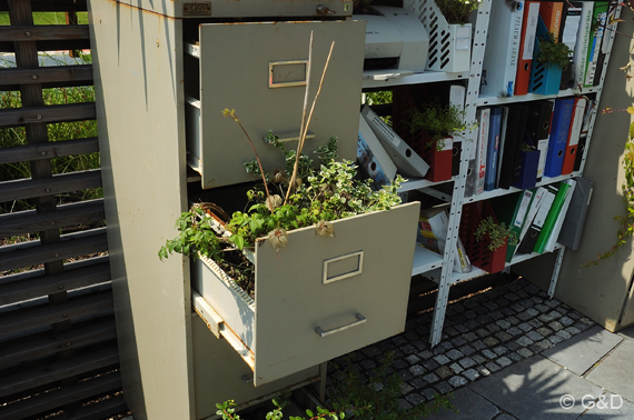 gartenausstellung_tulln30