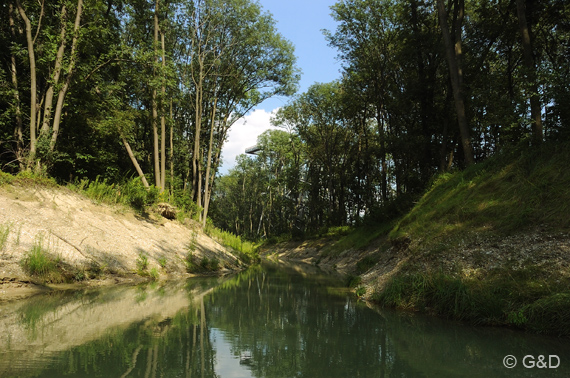 gartenausstellung_tulln73