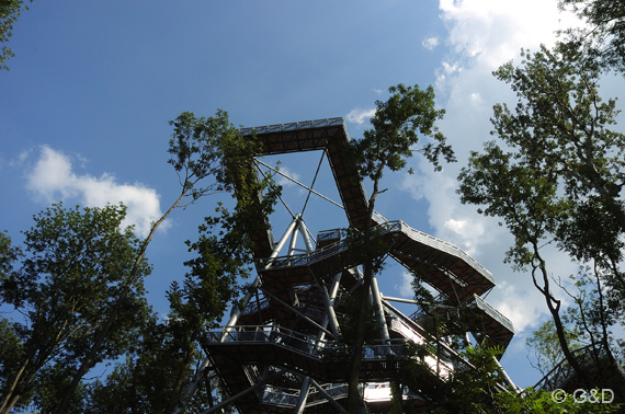 gartenausstellung_tulln75