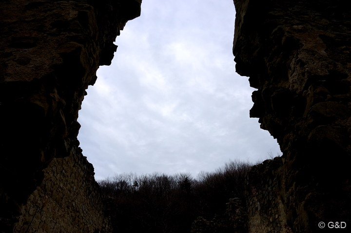 klosterruine19