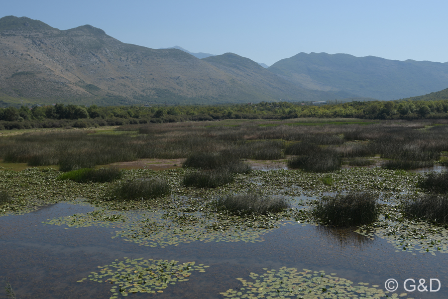 Albanien_2019_056