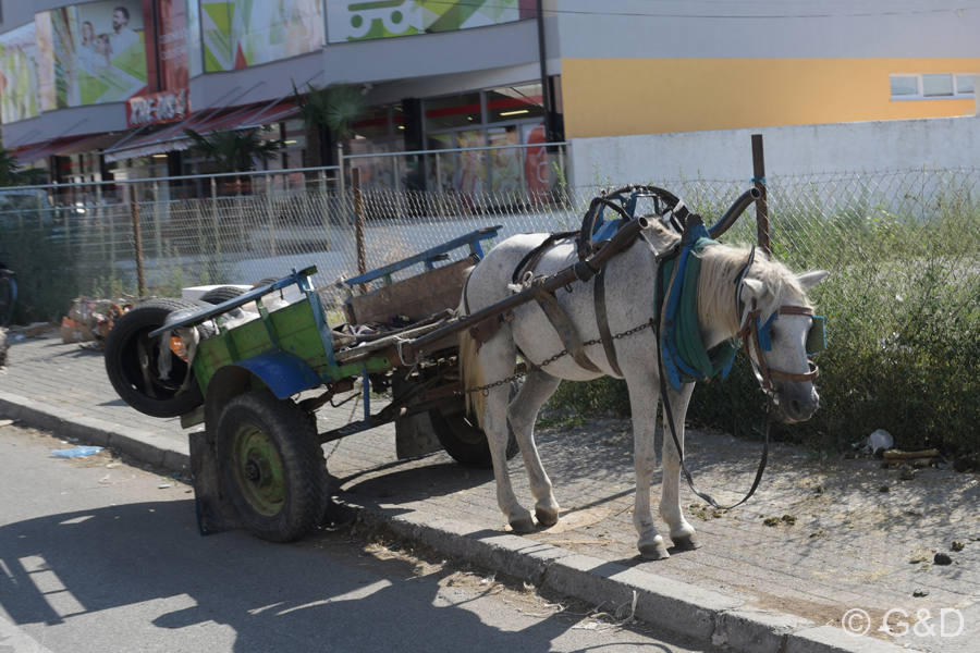 Albanien_2019_070