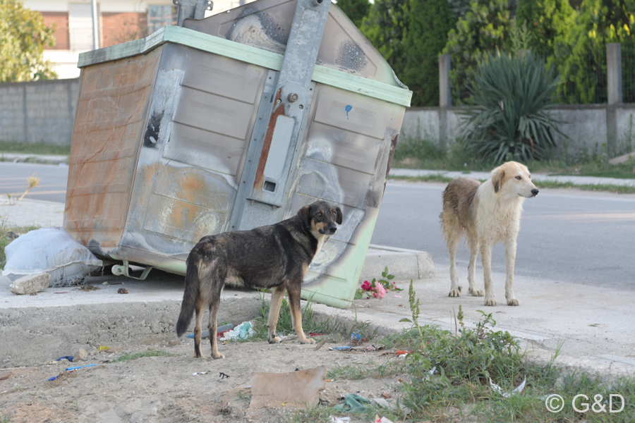 Albanien_2019_084