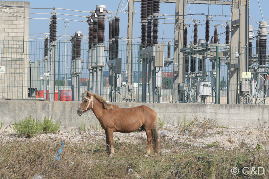 Albanien_2019_099