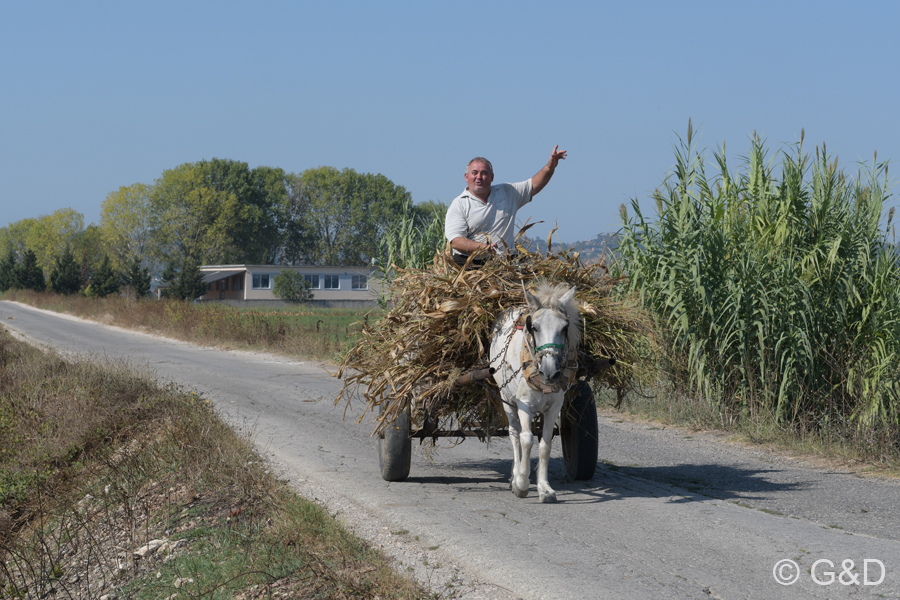 Albanien_2019_101