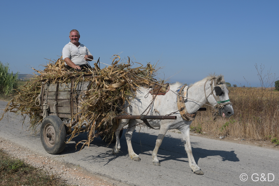 Albanien_2019_102