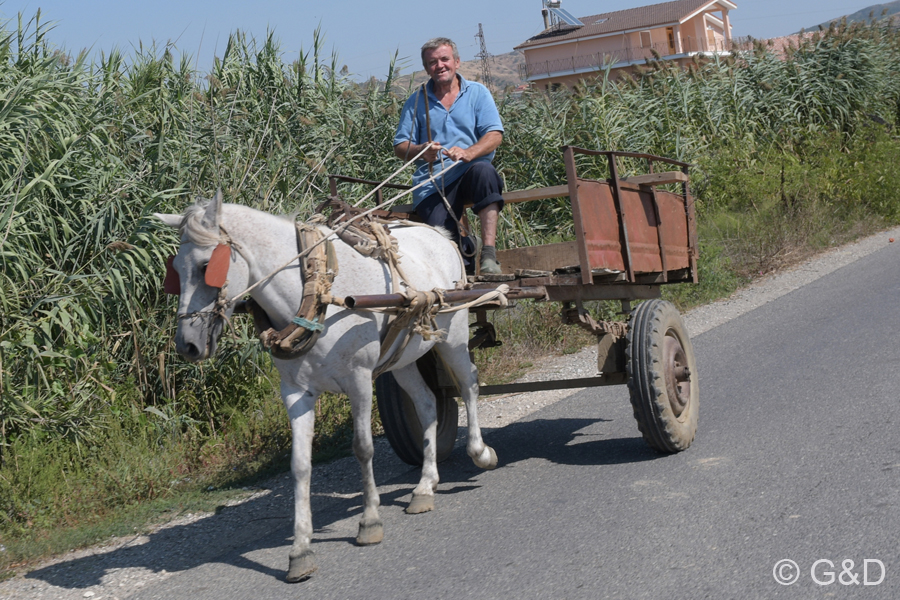 Albanien_2019_117