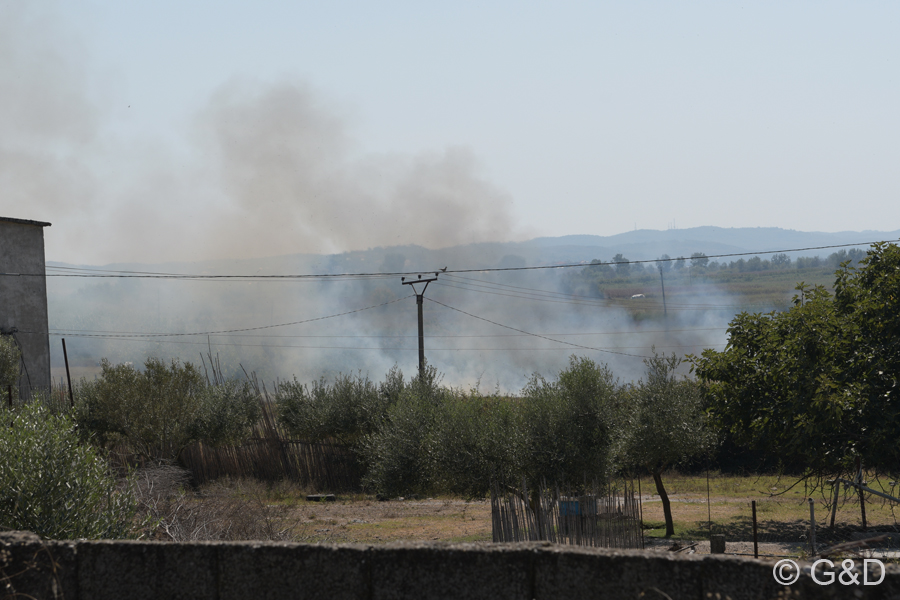 Albanien_2019_120