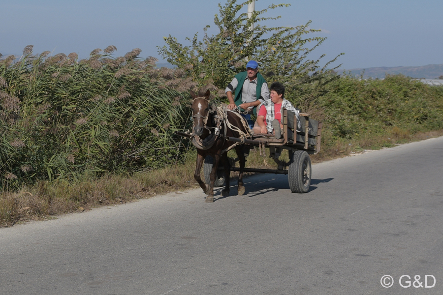 Albanien_2019_150